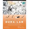 imageGrafix DuraLar 0003quot Film Ultra Clear Glossy 11quotx14quot Sheet MylarAcetate Alternative for Blank Stencils and Templates Protection Transparencies Windows Arts and Crafts Pad of 25 SheetsMatte  Pad of 25 Sheets