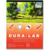 imageGrafix DuraLar 0003quot Film Ultra Clear Glossy 11quotx14quot Sheet MylarAcetate Alternative for Blank Stencils and Templates Protection Transparencies Windows Arts and Crafts Pad of 25 Sheetspad